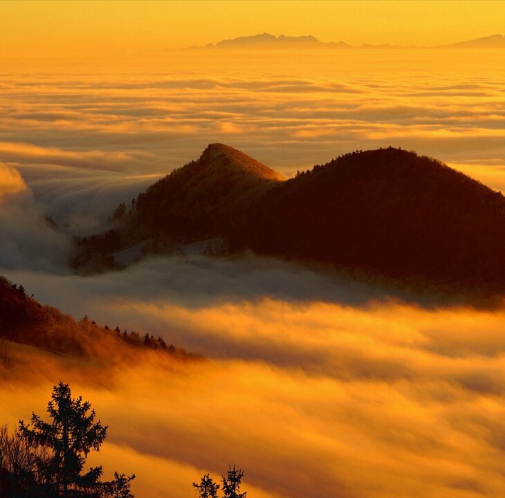 Introverts: How to be Heard in a Sea of Noisy Extroverts - Femme Coach article featured image