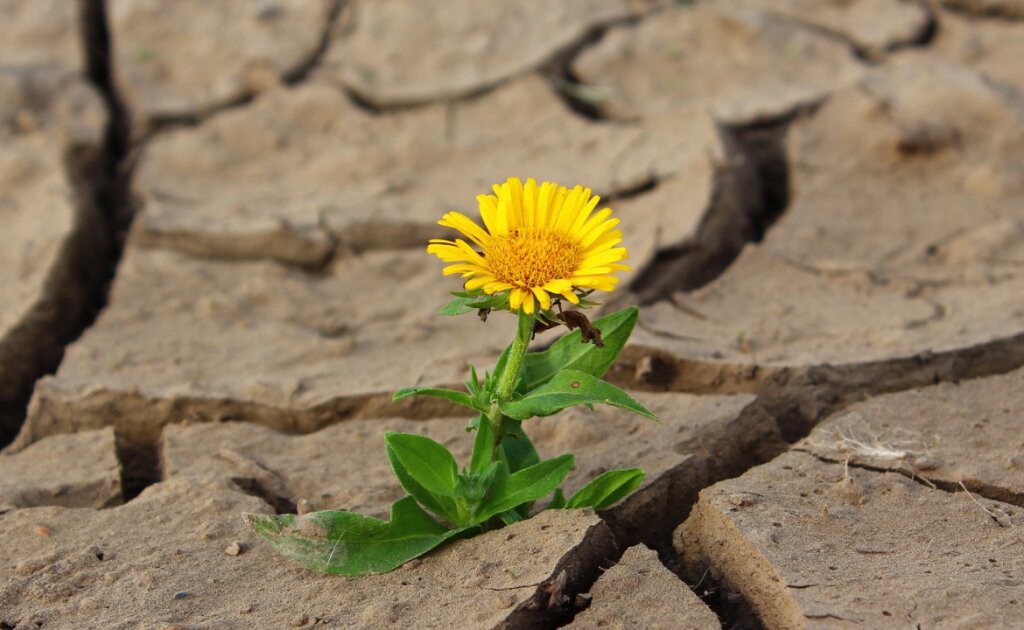 How Cancer Ruined and Blessed My Life at 22 - Femme Coach article featured image