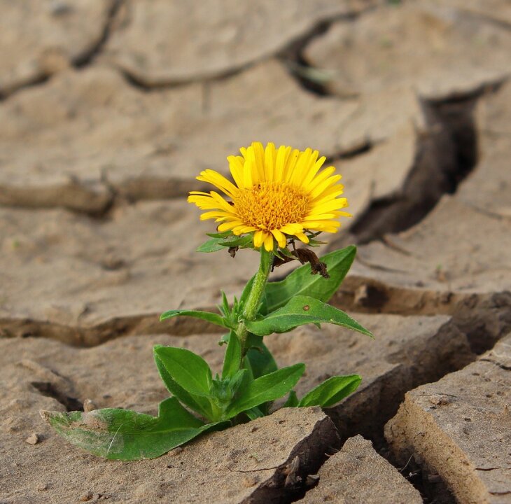 How Cancer Ruined and Blessed My Life at 22 - Femme Coach article featured image