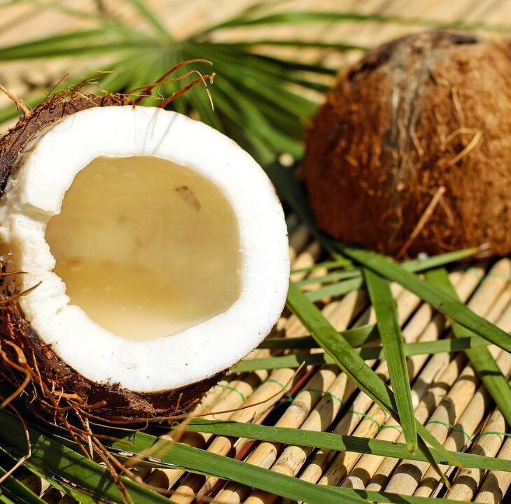 Vegan Ginger and Coconut Cookies - Femme Coach article featured image